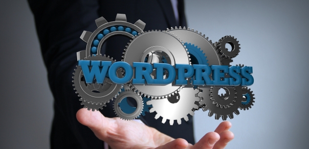 WordPress Development service toronto