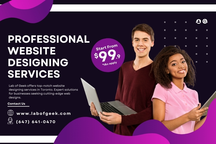 Lab of Geek Toronto | Professional Website Designing Services